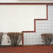 Nature/Geometry, from the series Neo Nature, 2005, pigment print