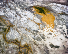 Carson River And Cow Tracks At Carson Sink, Looking North Pleistocene Lake Lahontan, Fallon, Nevada, 2018