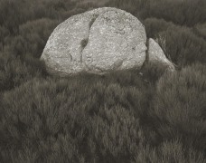 Rock on Gonnet, Lozere, France, 1995