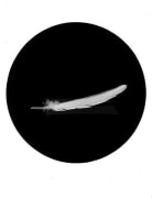 Feather, from the Paradise Series, 1993, gelatin silver print
