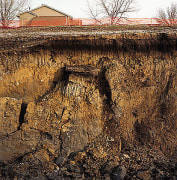 20 Acres for Lowe&#039;s, from the series Neo Nature, 2004, pigment print