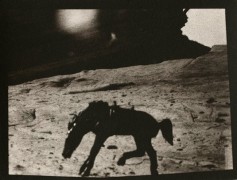 Ruth Thorne-Thomsen, Untitled (horse), 1975
