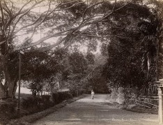 Country Road, Sipore, ca. 1870&#039;s