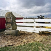 Cow and Roxy&#039;s Tomb,  from the series Kane County, 2006, chromogenic print