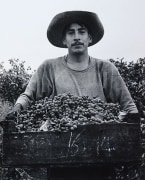 Grape Picker, Berryessa Valley, CA, 1956, From Portfolio Two, Published 1968