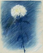 Betty Hahn, Blue Chrysanthemum #1