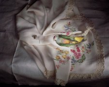 Rose crowned fruit dove with embroidered cloth, 2009