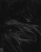 untitled (twigs and hair)