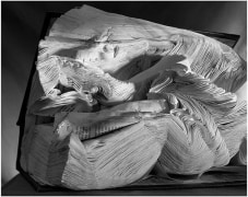 Book Damaged by Water, 2001, gelatin silver print, 20 x 24 inches