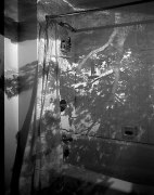 Camera Obscura Image of a Tree in Bathroom, 1999
