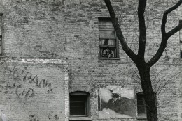 Chicago, 1965