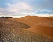 Dunes at Dawn, Glamis, CA