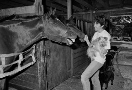 Laura in the Stable with Horses and Dogs, Rowley, Massachusetts, 1992