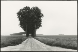 Brie, France, 1968, gelatin silver print