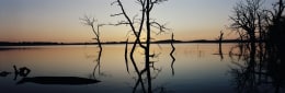 Drowned Trees, Wauby Lake, Day County, South Dakota