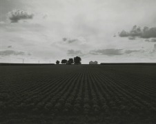 Untitled, from Farm Landscapes, 2009, gelatin silver contact print, 8 x 10 inches