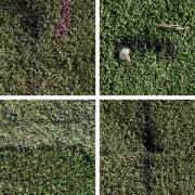 Joe Yorty, We Are Being Lied To I-V (Turf Study)
