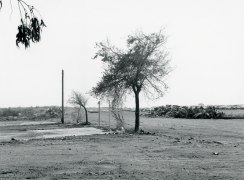 Lewis Baltz CP46, from Candlestick Point
