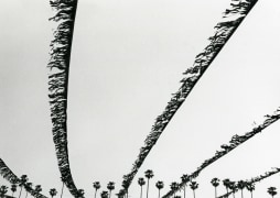 Hollywood, 1971 8 x 10 inches