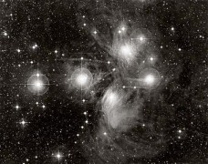 Stars of the Pleiades