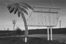 Palm Tree Sign, Atchison, Kansas, 1977