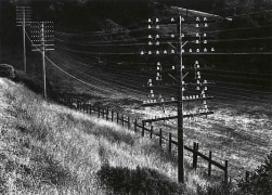 Untitled (power lines), ca. 1950&#039;s