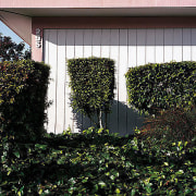 Sunnyvale, from the series Neo Nature, 2005, pigment print
