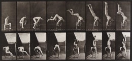 Plate 737 from Human and Animal Locomotion, ca. 1887, 