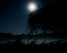 Night, Moon, Meadow, 2004