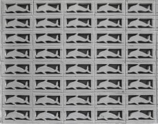 Wall Detail of Marineland of Florida, FLA1A, Marineland, FL, 1975