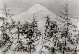 Arena y Pinitos / Sand and Small Pines, 1920s