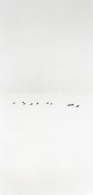 Ten Birds in Snowstorm, Wakoto, Hokkaido, Japan, 2002