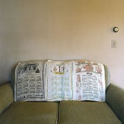 Myrtle&#039;s Couch, from the series Kane County, 2005, chromogenic print