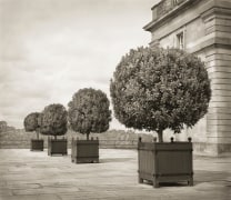 Standards, Blenheim Palace, from the series In the Garden