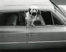 Gary Krueger, Los Angeles