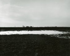 Untitled, from Farm Landscapes, 2005, gelatin silver contact print, 8 x 10 inches