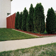 Tree Fence, Carol Stream, from the series Neo Nature, 2005, pigment print