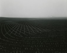 Untitled, from Illinois Landscapes, 1980, gelatin silver contact print, 8 x 10 inches