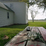 Gun &amp;amp; Onions, Dairy Farm, from the series Kane County, 2005, chromogenic print