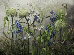 Allium Ampelofrasum, 2022