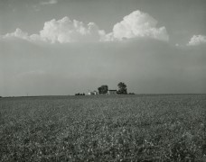 Untitled, from Farm Landscapes, 1985, gelatin silver contact print, 8 x 10 inches