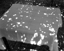 Sunspots on Covered Table, 2000