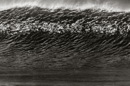 Anthony Friedkin Large Wave Face