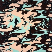 Andy Warhol, Camouflage painting, 1986