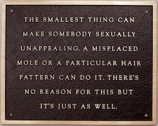 Jenny Holzer, Living Series: The smallest thing can make, 1981