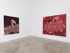 Yuan Fang: Spaying