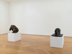 Installation View At First Glance