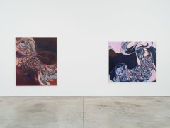 Yuan Fang: Spaying