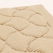 close up of the destry sample