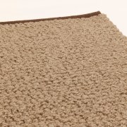 close up of branwen sample